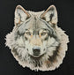 Short Sleeve T-Shirt - Wolf Head