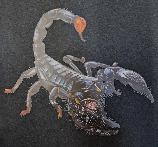 Short Sleeve T-Shirt - Scorpio