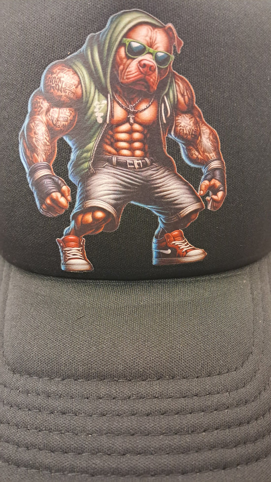 Baseball Hat - Hip Hop Pit Bull