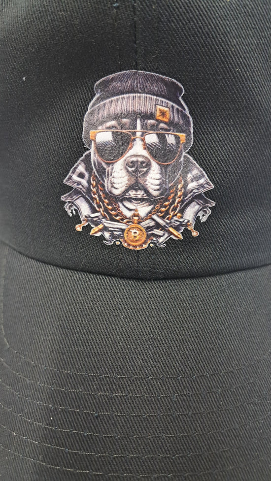Baseball Hat - Hip Hop Pit Bull