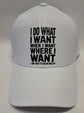 Baseball Hat - I Do What I Want When I Want Where I Want I Just Have To Ask My Wife