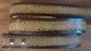 Embossed Leather Belt 1 1/2" Celtic 3 - 2 TC