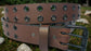 Leather Belt Double Hole Black Plate Buckle and Grommets 1 1/4" Wide